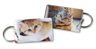 Заготовка Mifare Ultra (EPOXY) мини-карта Котята Заготовка Mifare Ultra (EPOXY) мини-карта Котята